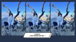 ĐAU THƯƠNG GOM GÓP