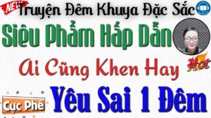 YÊU SAI 1 ĐÊM