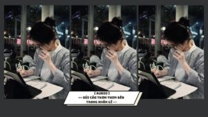 SỦI CẢO THƠM THƠM BÊN TRONG NHÂN GÌ